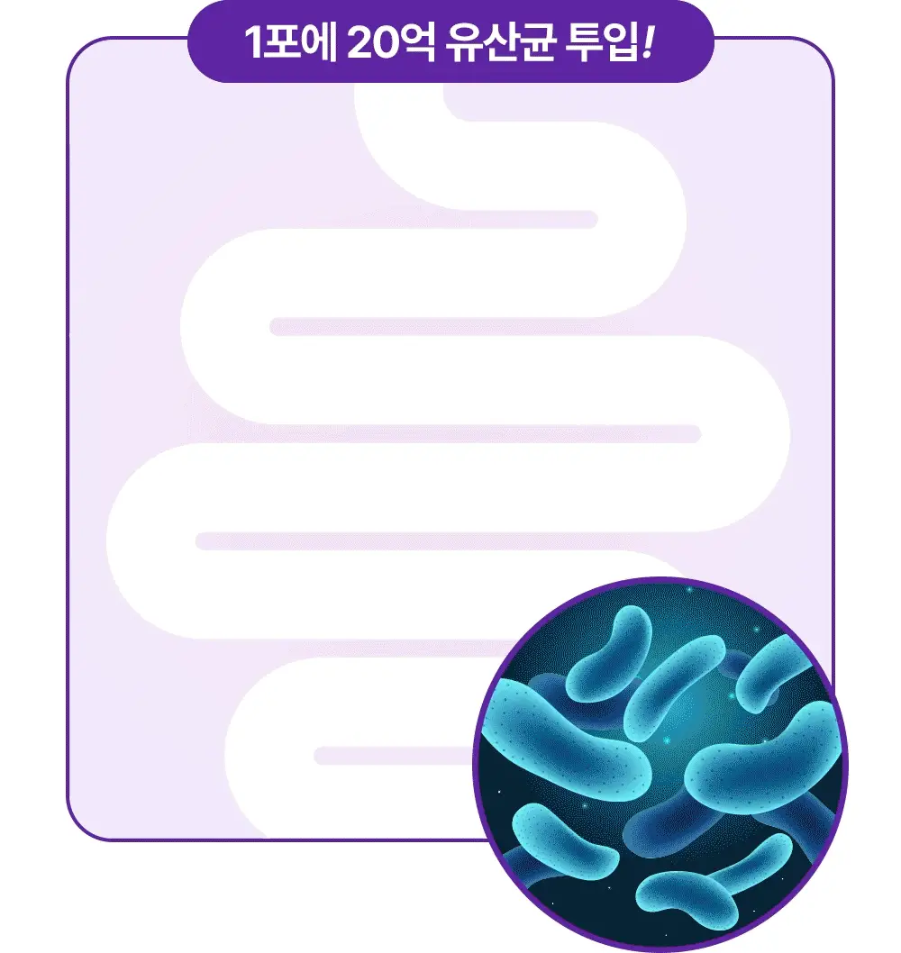 [비건 콤부차] 그린몬스터 디톡 콤부차 10T 4종 택1(납작복숭아/블랙사파이어/석류히비스커스/패션후르츠) 상세페이지 21